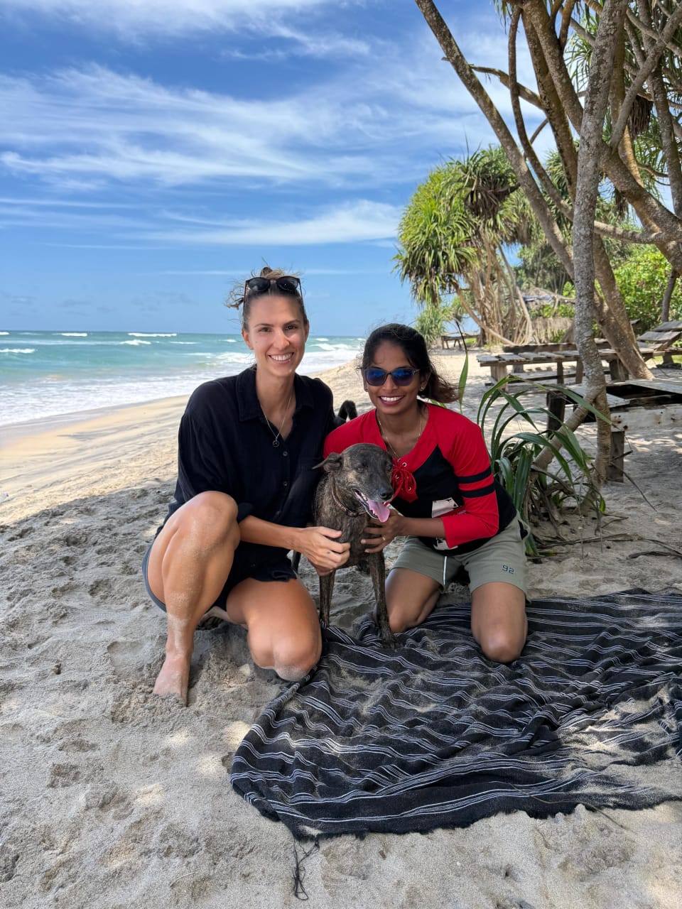 Lio's Paw Paradise - With Owners photo 13
